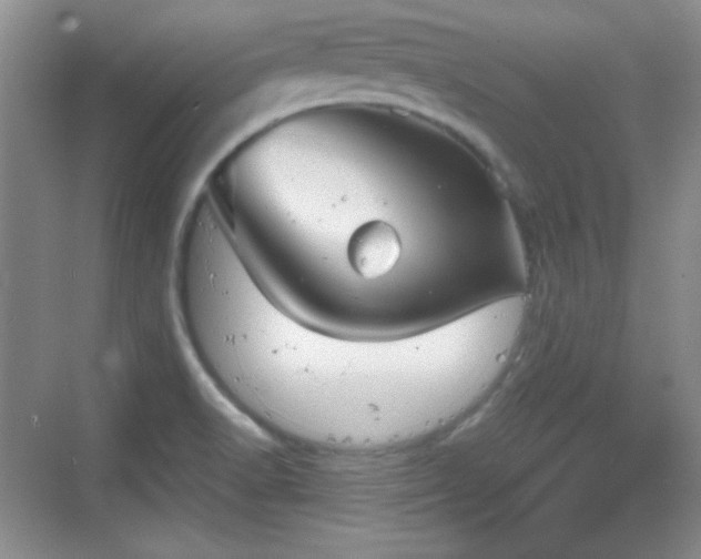 X0000068811518200605081106