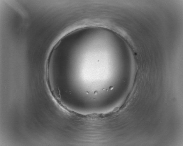 X0000068811520200605081106