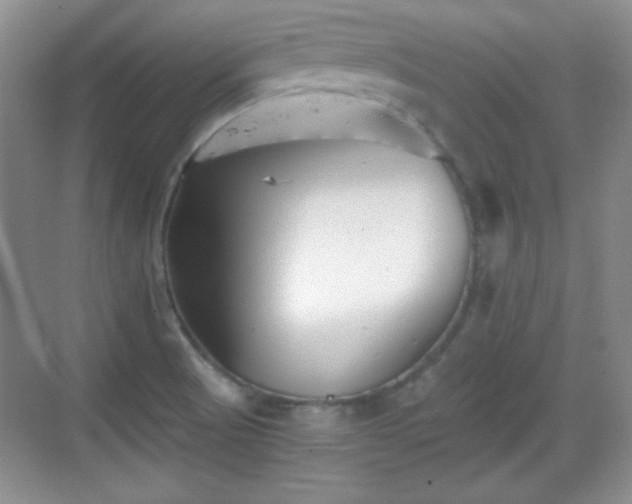 X0000068811521200605081106