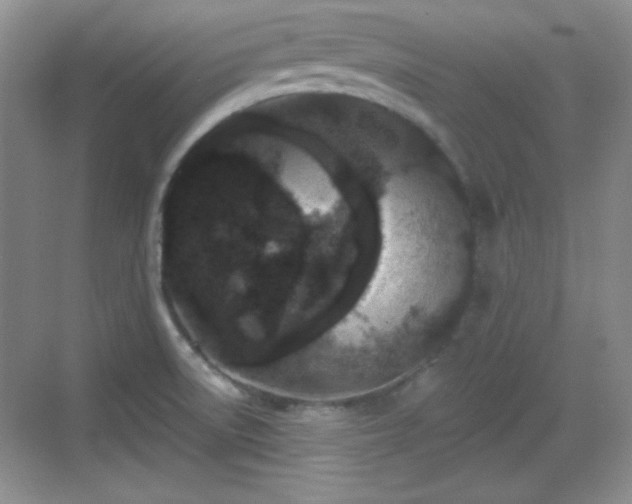 X0000068811522200605081106