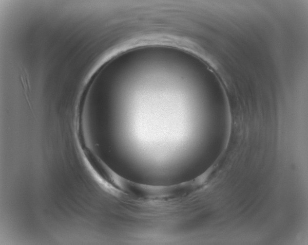 X0000068811523200605081106