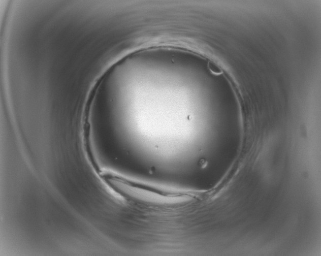 X0000068811525200605081106