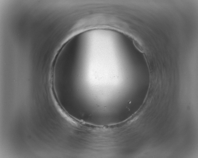 X0000068811526200605081106