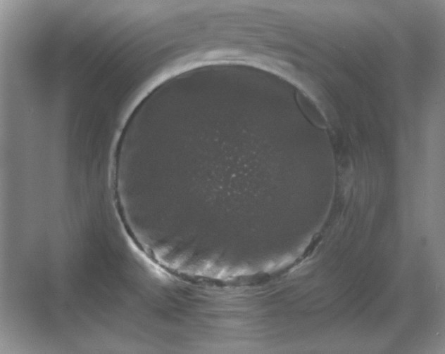 X0000068811527200605081106