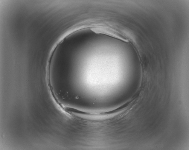 X0000068811528200605081106