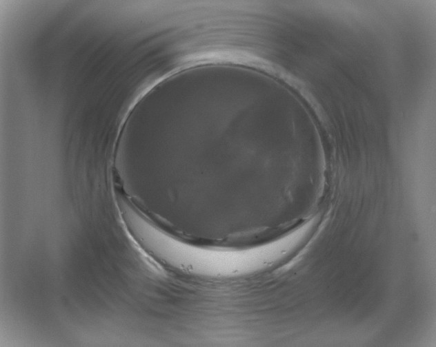 X0000068811529200605081106