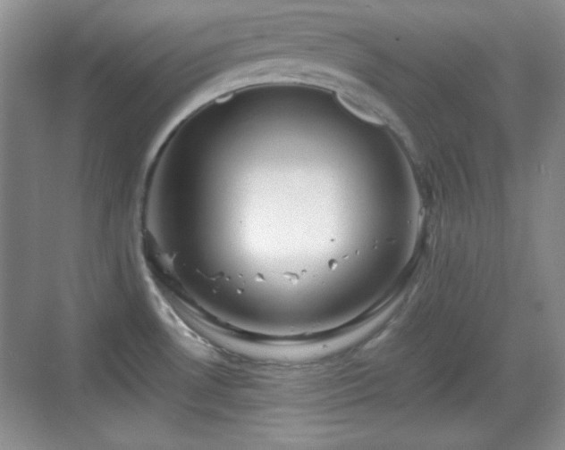 X0000068811530200605081106