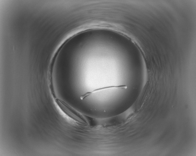 X0000068811531200605081106