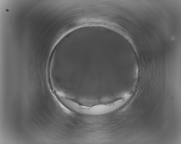 X0000068811533200605081106