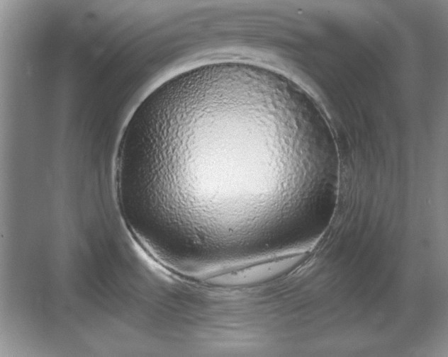 X0000068811535200605081106