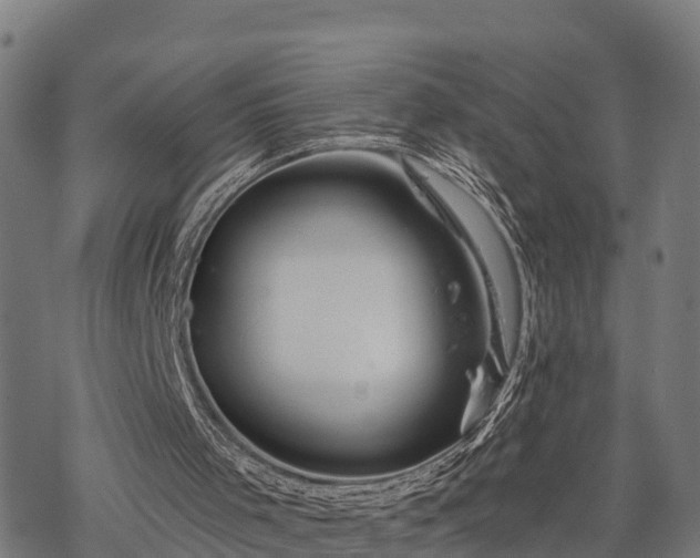 X0000068810001200605121302