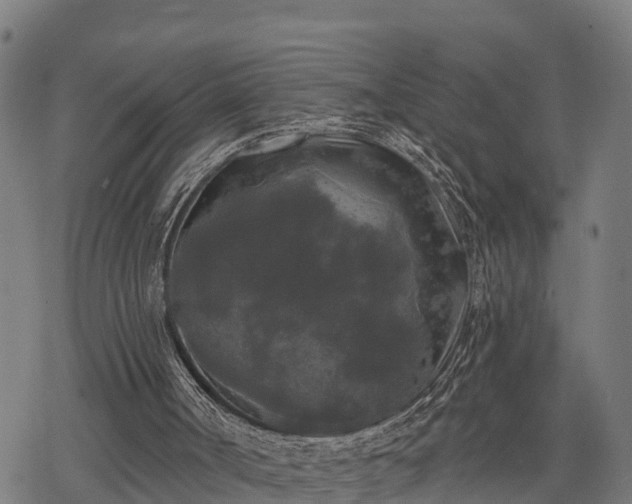 X0000068810002200605121302