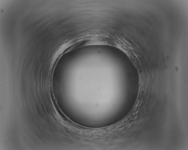 X0000068810003200605121302