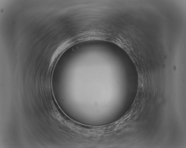 X0000068810004200605121302