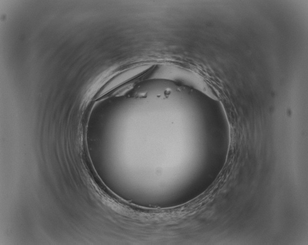 X0000068810005200605121302