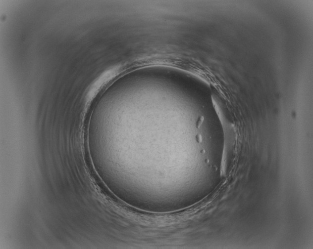 X0000068810006200605121302