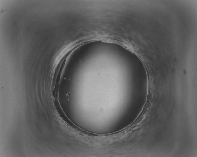 X0000068810007200605121302