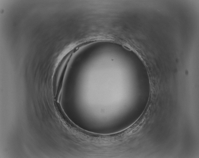 X0000068810008200605121302