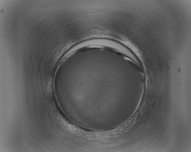 X0000068810009200605121302