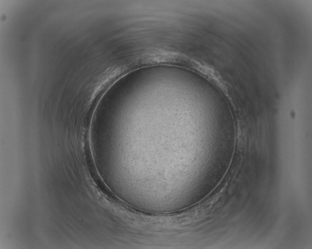 X0000068810010200605121302