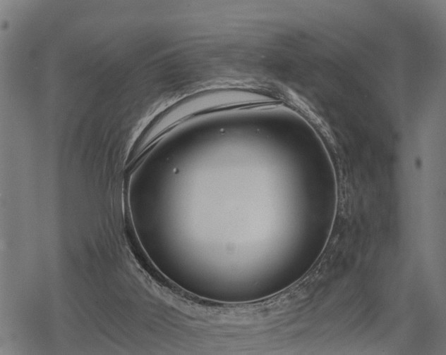 X0000068810011200605121302