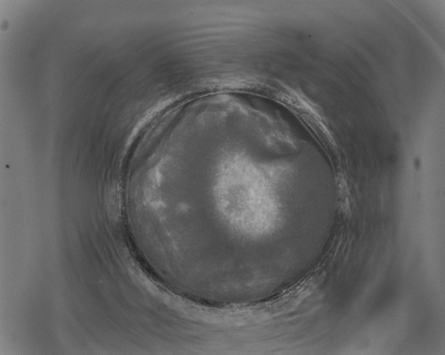 X0000068810012200605121302