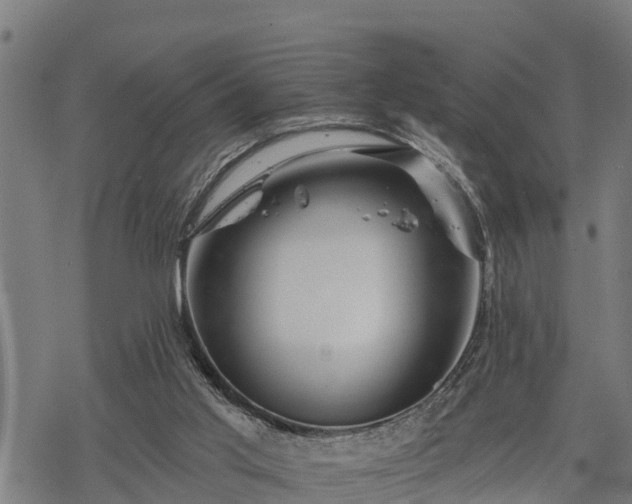 X0000068810013200605121302