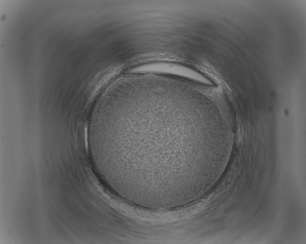 X0000068810014200605121302