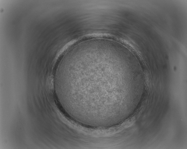 X0000068810016200605121302