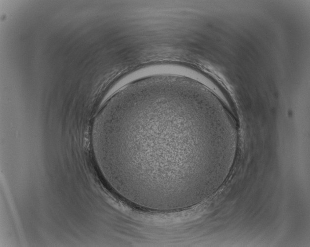 X0000068810017200605121302