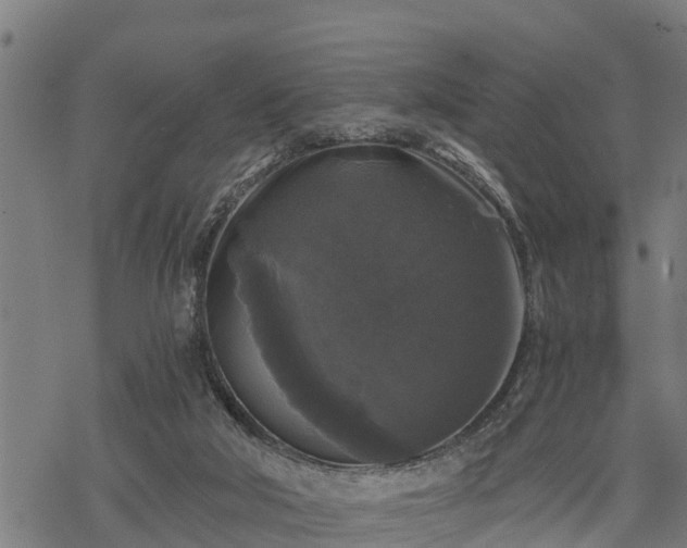 X0000068810018200605121302