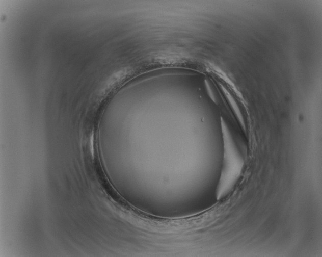 X0000068810019200605121302