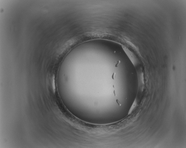 X0000068810020200605121302