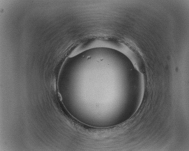 X0000068810021200605121302