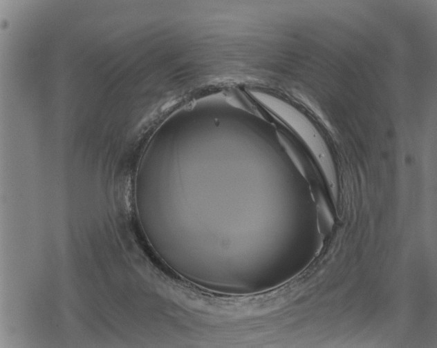 X0000068810023200605121302