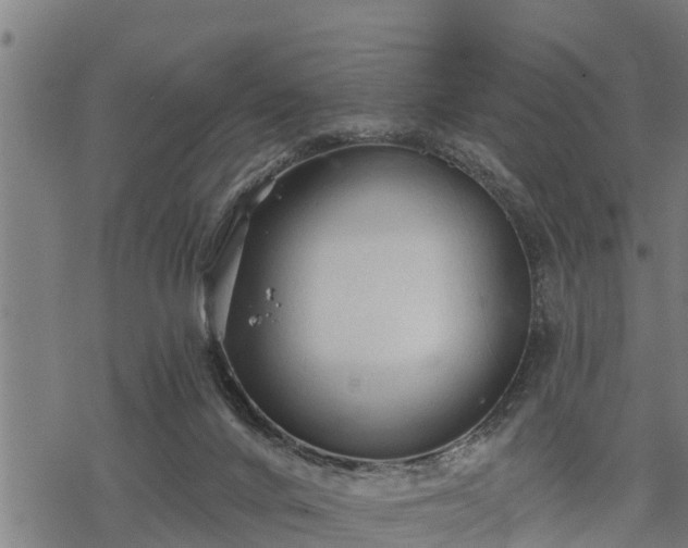 X0000068810024200605121302