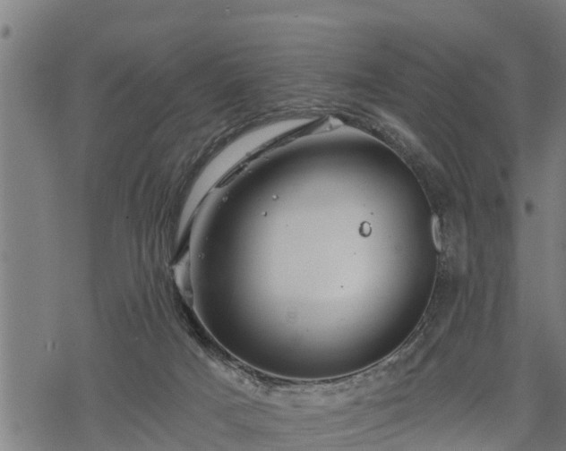 X0000068810025200605121302