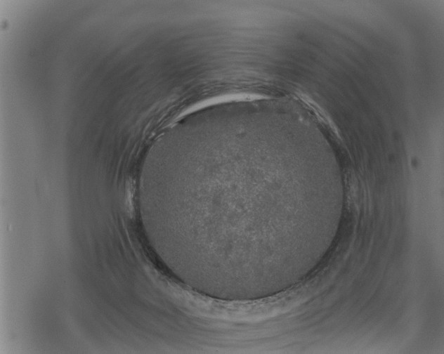 X0000068810026200605121302