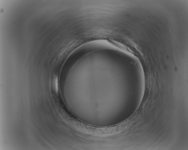 X0000068810027200605121302