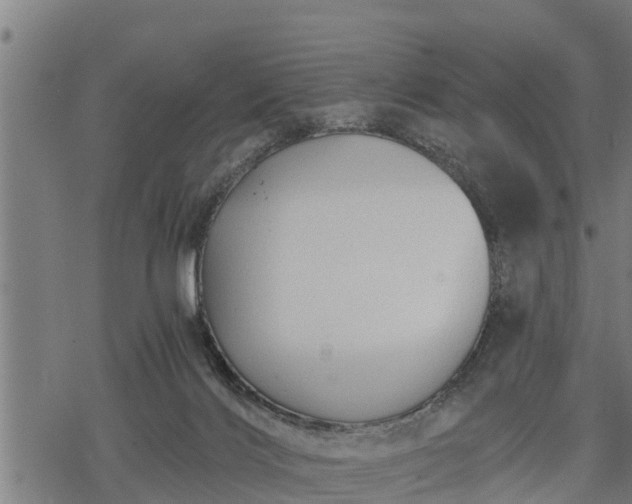 X0000068810028200605121302