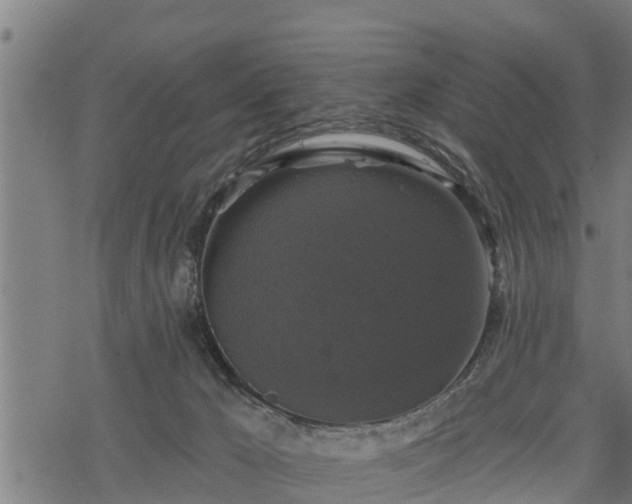 X0000068810029200605121302