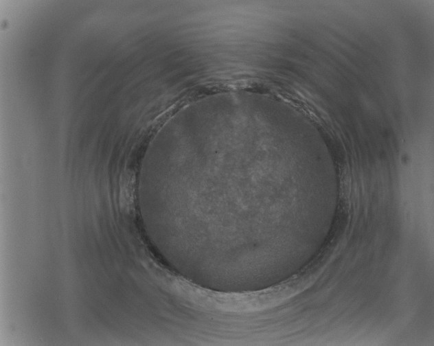 X0000068810030200605121302