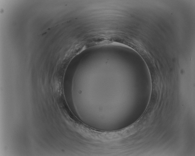 X0000068810031200605121302