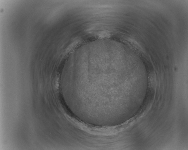 X0000068810032200605121302