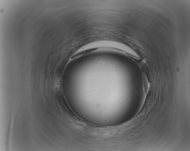 X0000068810033200605121302