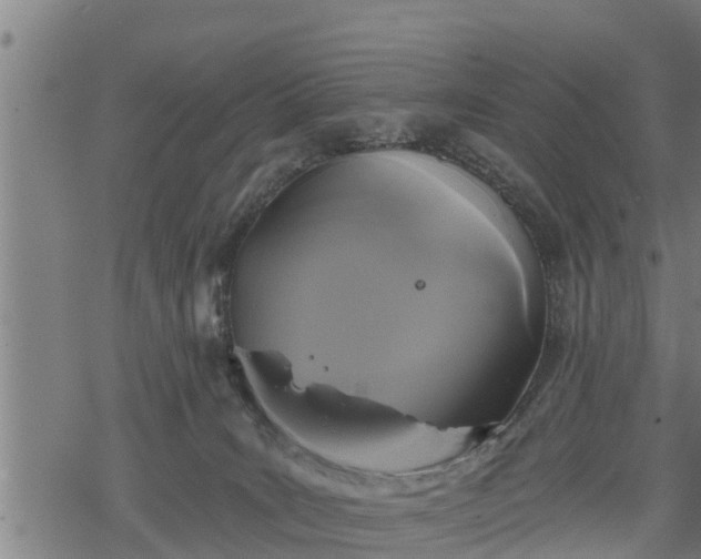 X0000068810035200605121302