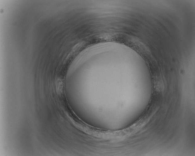 X0000068810036200605121302