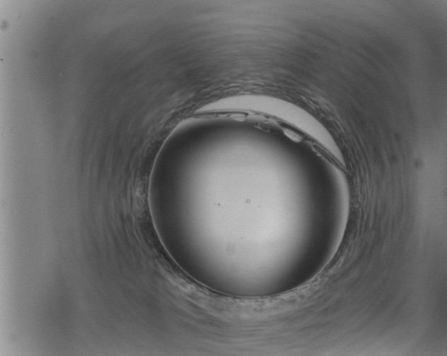 X0000068810037200605121302