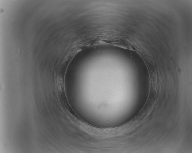 X0000068810038200605121302