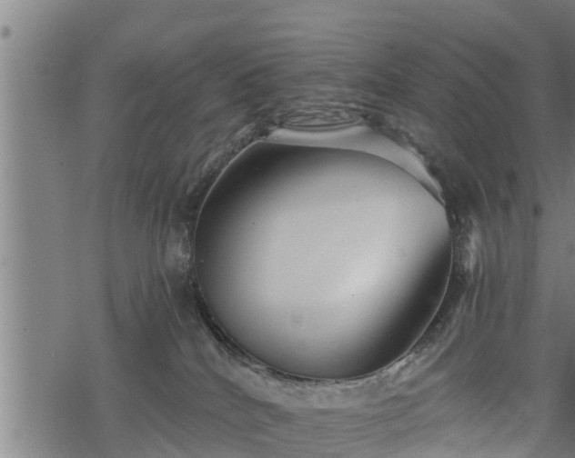 X0000068810040200605121302